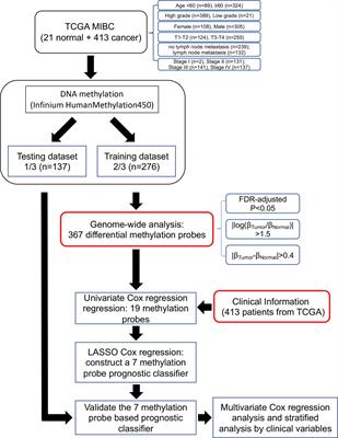 A Novel DNA Methylation Signature as an Independent Prognostic Factor in Muscle-Invasive Bladder Cancer